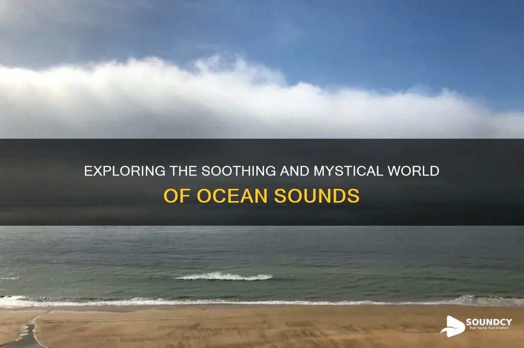 what is a ocean sound