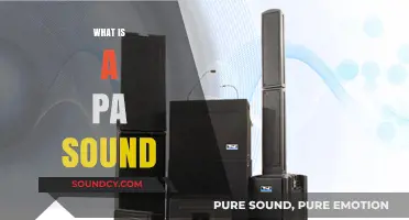 Understanding PA Sound Systems: A Beginner's Guide to Public Address Audio