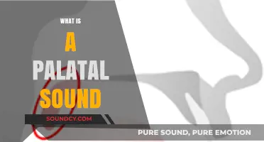 Understanding Palatal Sounds: A Comprehensive Guide to Their Role in Speech