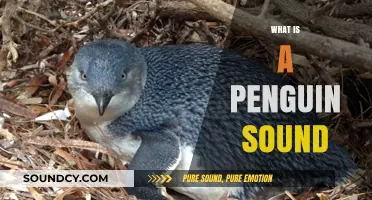 Discover the Unique Vocalizations: What is a Penguin Sound?