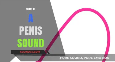 Unveiling the Mystery: Understanding the Concept of a Penis Sound
