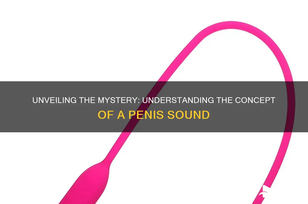 what is a penis sound