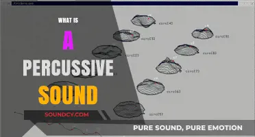 Understanding Percussive Sounds: Definition, Examples, and Musical Applications