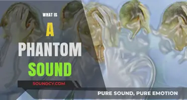 Phantom Sounds: Understanding the Mystery of Auditory Hallucinations