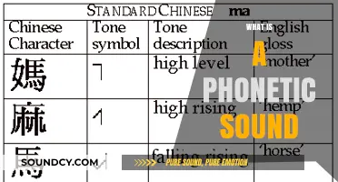 Understanding Phonetic Sounds: A Comprehensive Guide to Speech Sounds