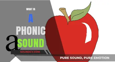 Understanding Phonic Sounds: A Beginner's Guide to Pronunciation Basics