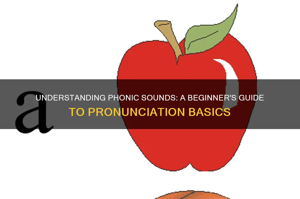 what is a phonic sound