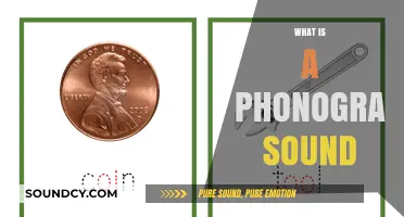 Understanding Phonograms: Decoding the Unique Sounds of Language