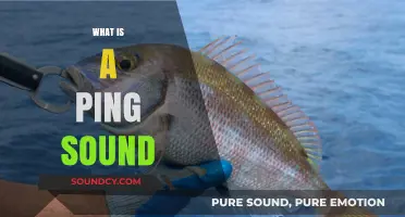 Understanding the Ping Sound: Origins, Uses, and Significance Explained