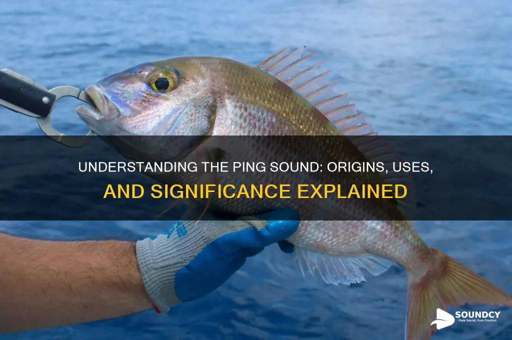 what is a ping sound