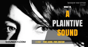 Understanding the Melancholy Essence of a Plaintive Sound