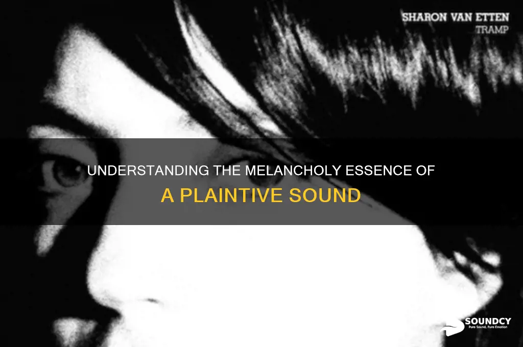what is a plaintive sound
