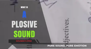 Understanding Plosive Sounds: Definition, Examples, and Role in Speech