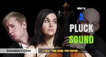 Understanding the Unique Pluck Sound: Origins, Techniques, and Musical Applications