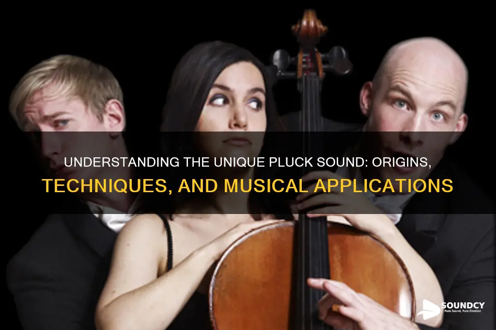 what is a pluck sound