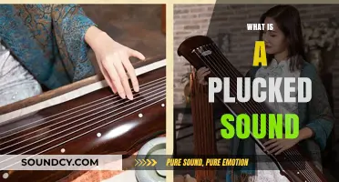 Understanding Plucked Sounds: Origins, Techniques, and Musical Applications Explained