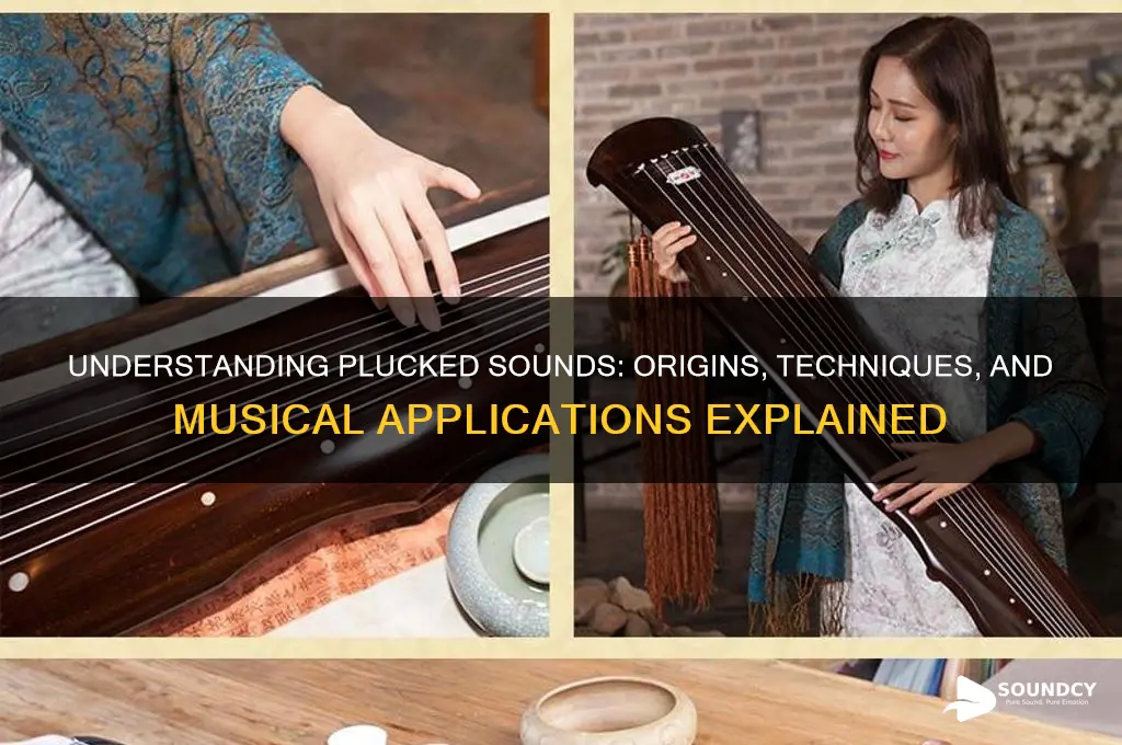 what is a plucked sound