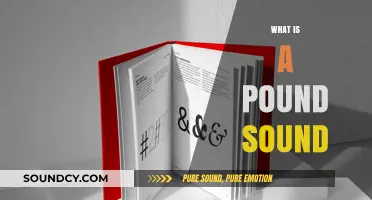 Understanding the Pound Sound: Origins, Usage, and Cultural Significance