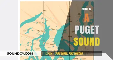 Exploring Puget Sound: Geography, Ecology, and Cultural Significance