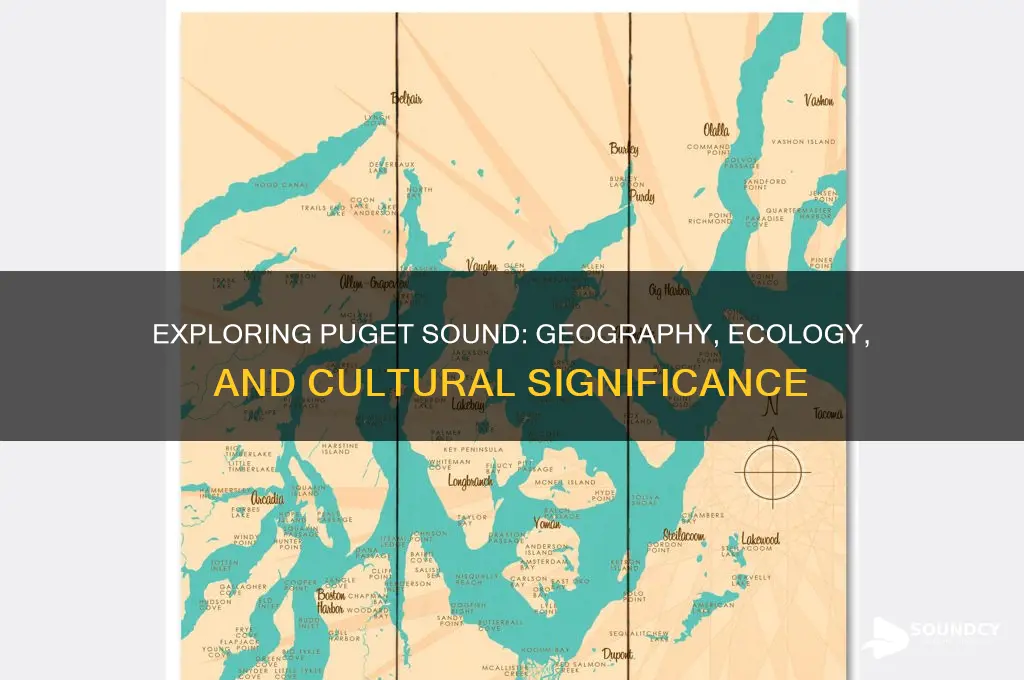what is a puget sound