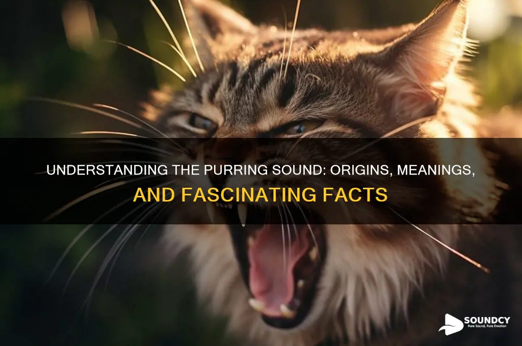 what is a purring sound