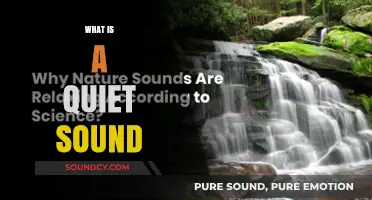 Exploring the Gentle World of Quiet Sounds and Their Impact