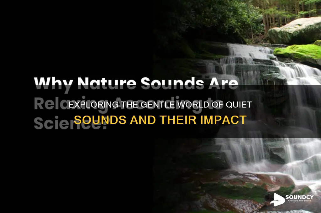 what is a quiet sound