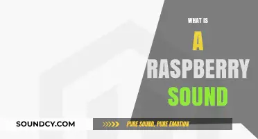 Exploring the Unique Raspberry Sound: Origins, Science, and Cultural Significance