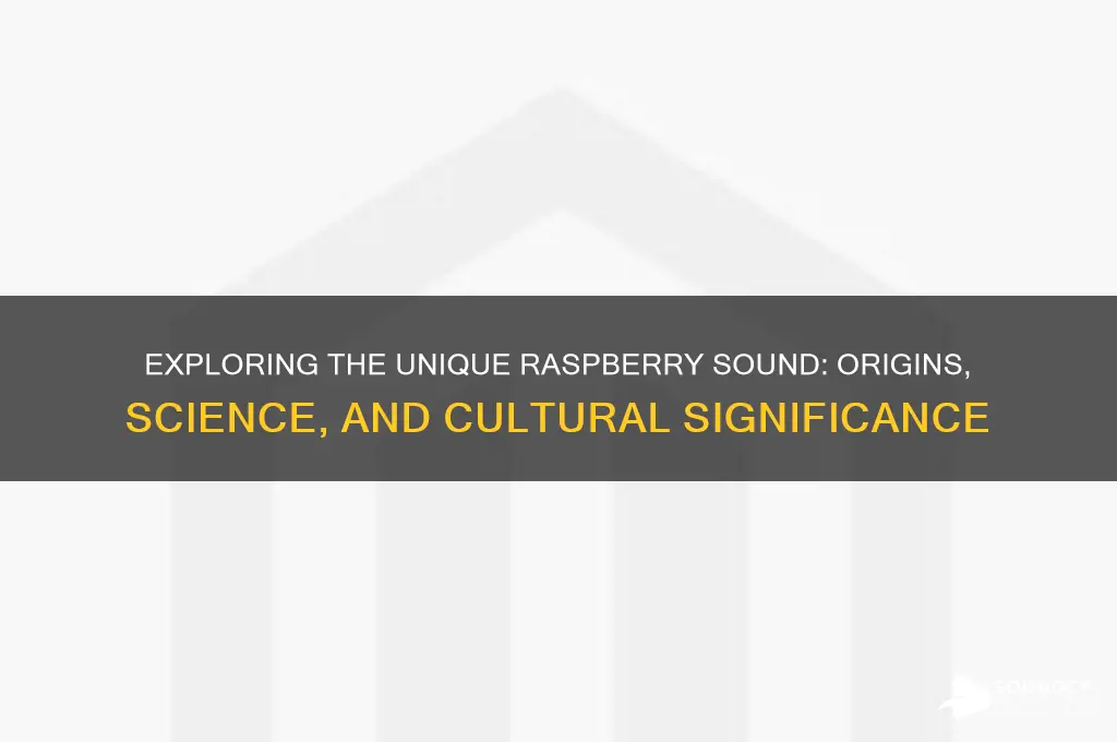 what is a raspberry sound