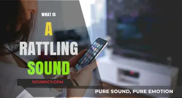 Understanding the Causes and Meanings of a Rattling Sound