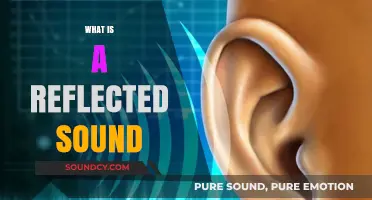 Understanding Reflected Sound: How Echoes Shape Our Auditory Experience