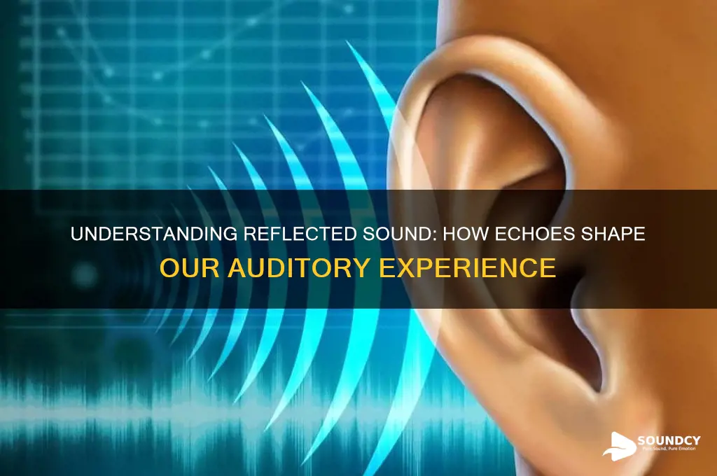 what is a reflected sound