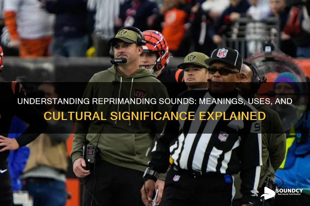 what is a reprimanding sound
