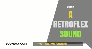 Understanding Retroflex Sounds: A Comprehensive Guide to Their Pronunciation and Use