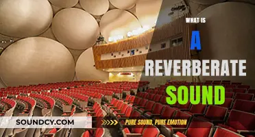 Understanding Reverberate Sound: Definition, Causes, and Effects Explained