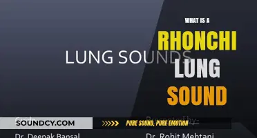 Rhonchi Lung Sounds: What Do They Mean?