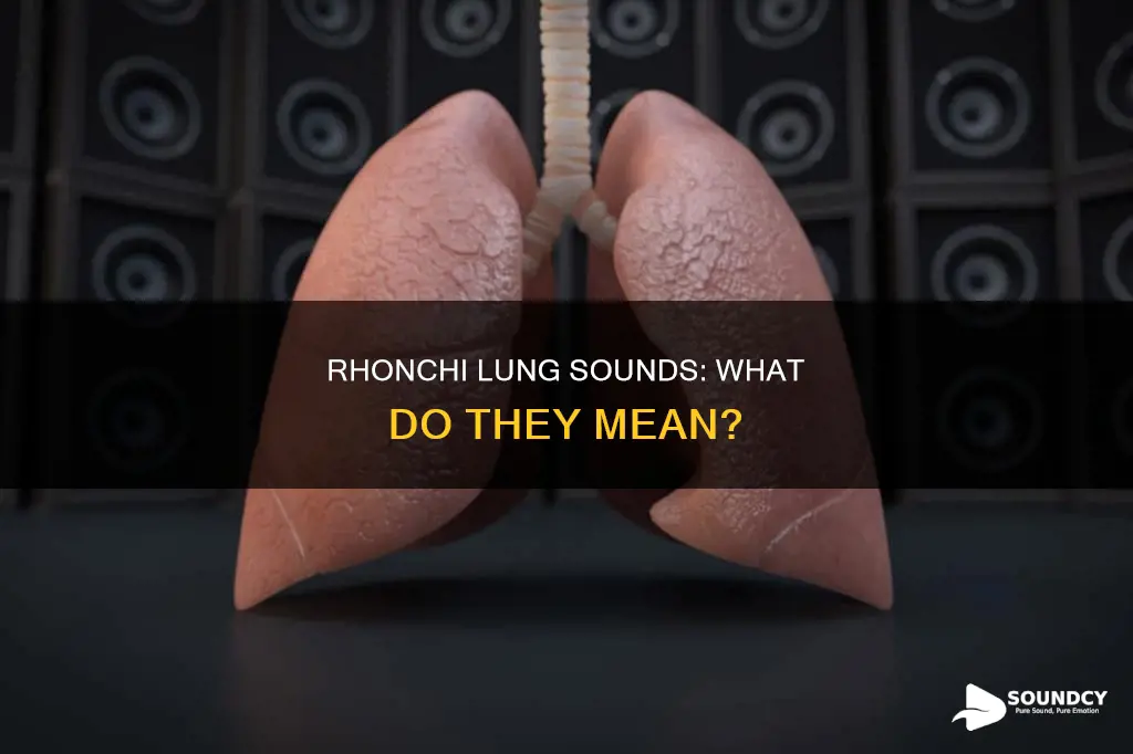 what is a rhonchi lung sound