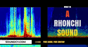 Understanding Rhonchi: Identifying and Interpreting Abnormal Lung Sounds