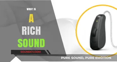 Exploring the Depth and Clarity of a Rich Sound Experience
