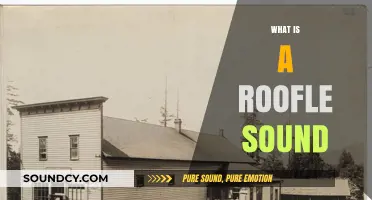 Understanding the Unique Roofle Sound: Origins, Meaning, and Cultural Significance