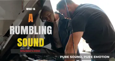 Understanding the Mysterious Rumbling Sound: Causes and Implications
