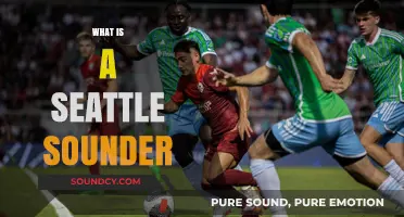 Exploring the Seattle Sounders: History, Legacy, and Soccer Passion