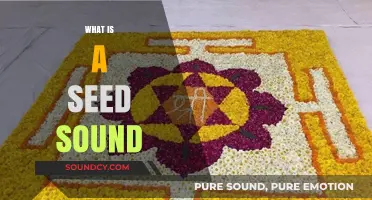 Unveiling the Mystical Power of Seed Sounds in Ancient Traditions