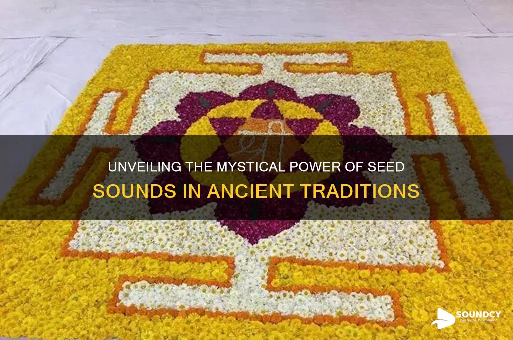 what is a seed sound
