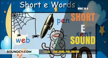 Exploring the Short E Sound in Words