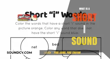Mastering the Short I Sound