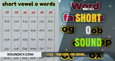 Mastering the Short 'O' Sound