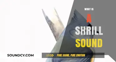 Understanding Shrill Sounds: Causes, Characteristics, and Effects Explained