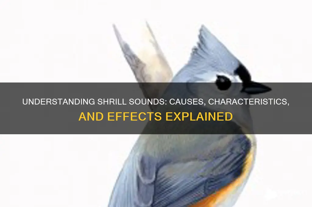 what is a shrill sound