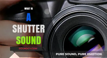 Understanding the Shutter Sound: Its Purpose and Impact on Photography